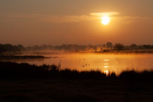 Serene lakeside view with ducks swimming under a vibrant sunrise.
