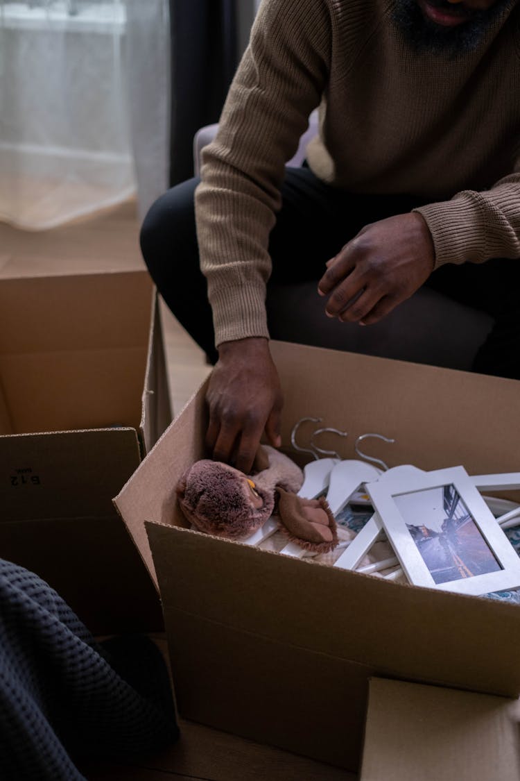 A Person Holding The Plush Toy In A Cardboard Box