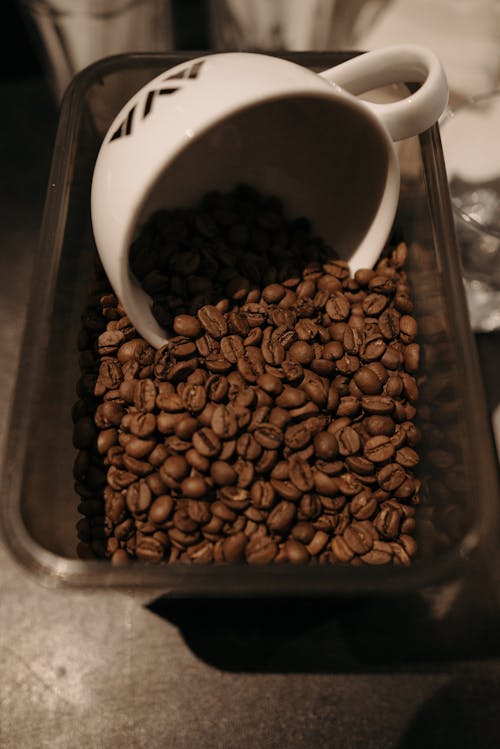 Close Up Photo of Coffee Beans and a Cup