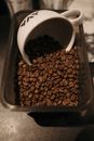Brown Coffee Beans on Stainless Steel Tray