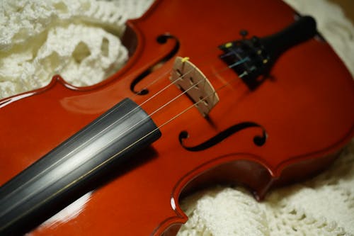 Free stock photo of instrument, music, threads