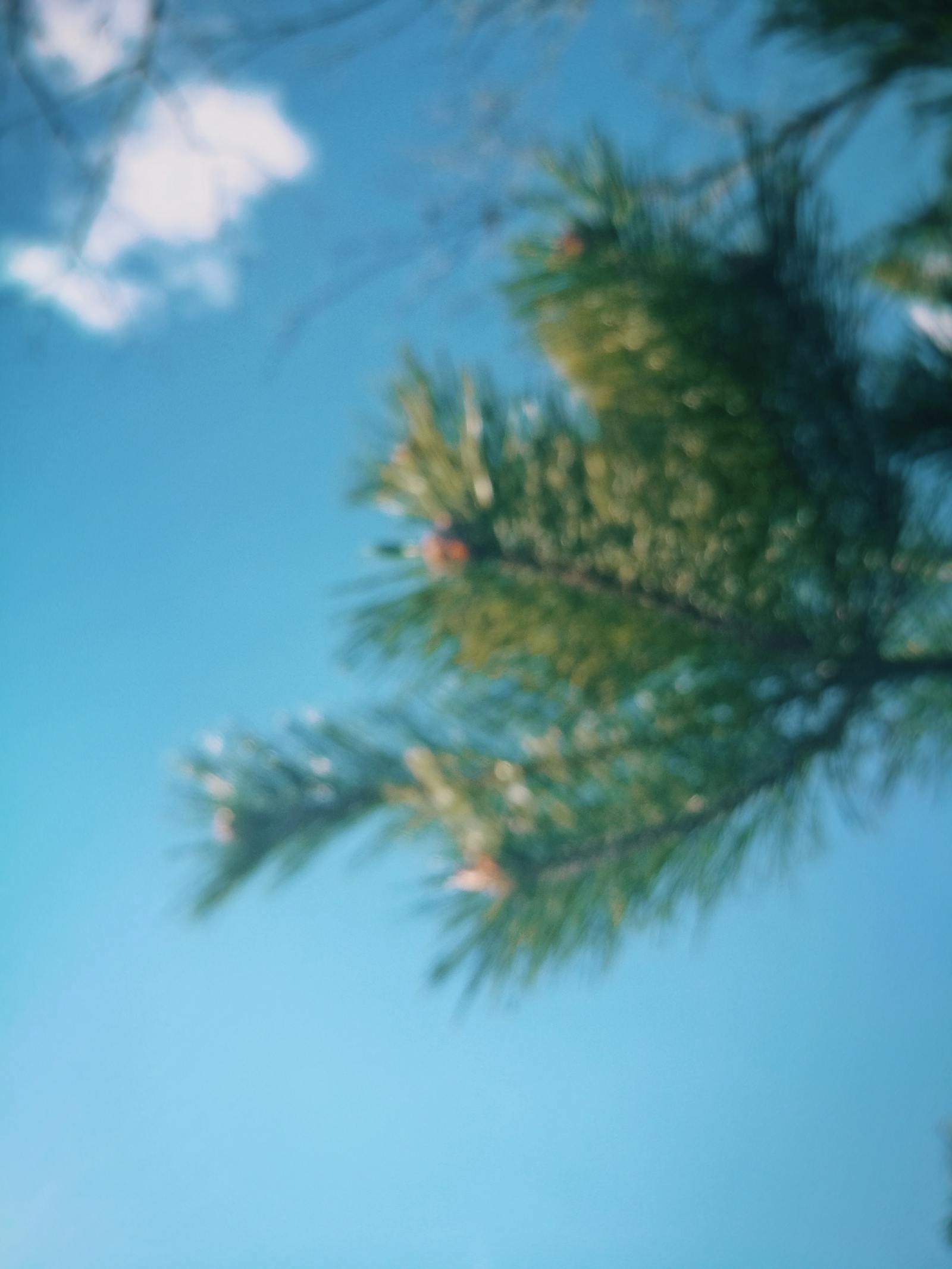 Person scrolling through social media on a smartphone late at night