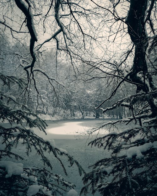 Grayscale Photo of Snow Covered Body of Water