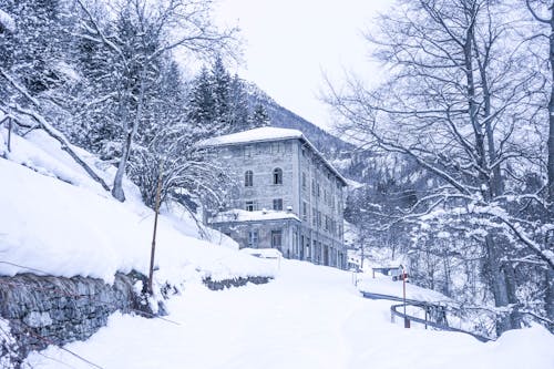 Low angle of aged stone residential building and leafless trees on slope of mountain covered with snow and coniferous forest against cloudy sky