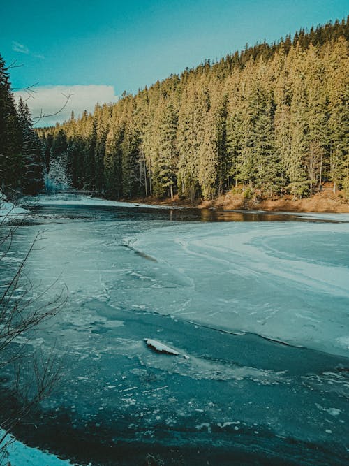 Free An Icy River in the Forest Stock Photo