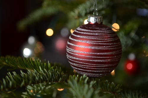 Foto profissional grátis de árvore de Natal, bola de Natal