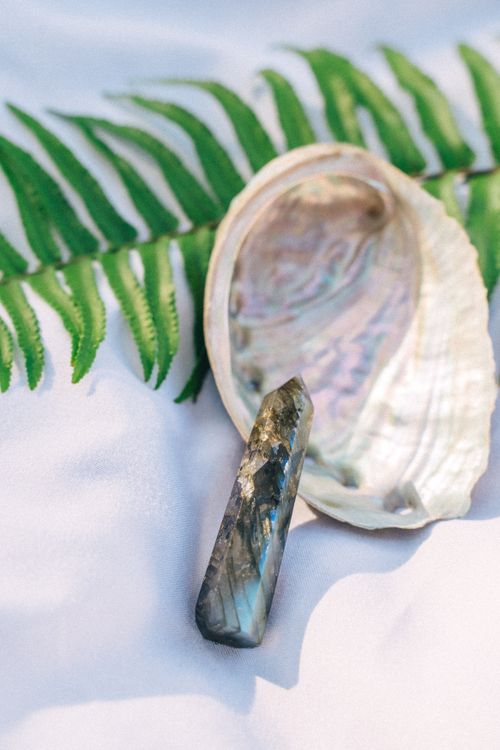 Free A serene composition featuring a labradorite crystal with abalone shell and green fern, ideal for nature themes. Stock Photo