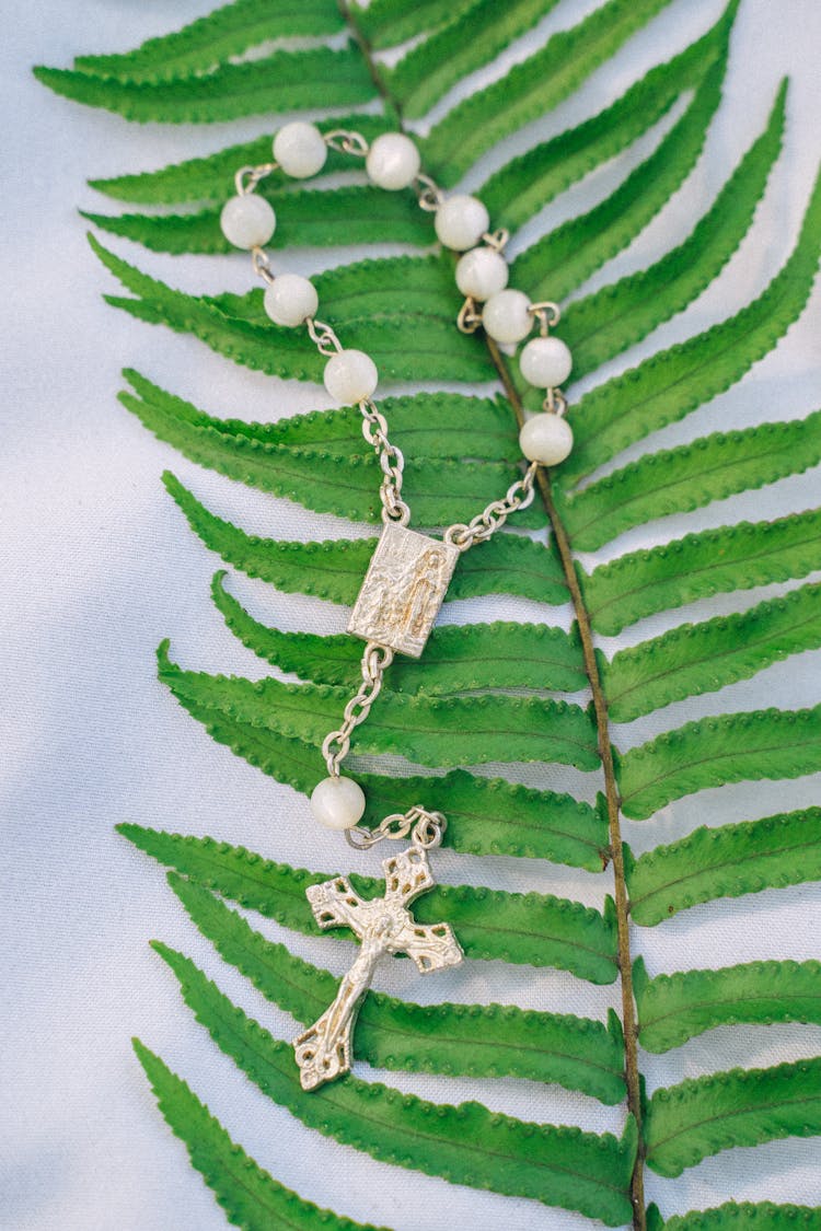 A Rosary On Green Fern Leaf