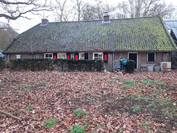 Stoneware Dinner Set