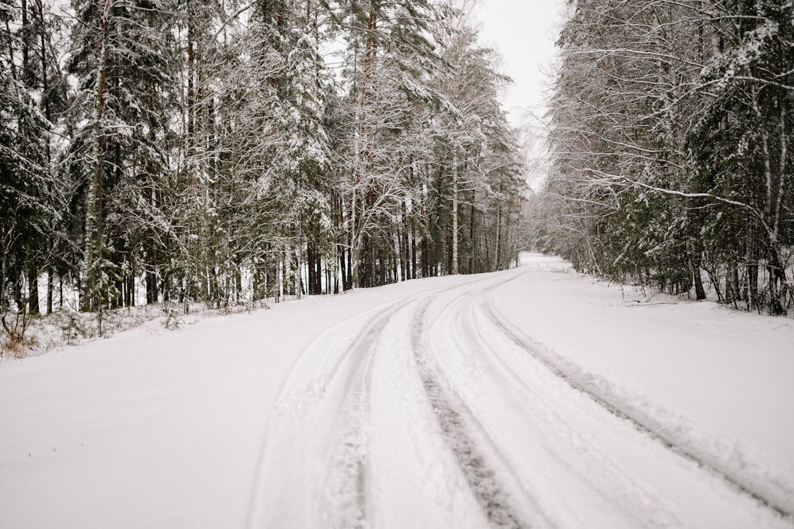 Snowy Road Between Forest in Winter 