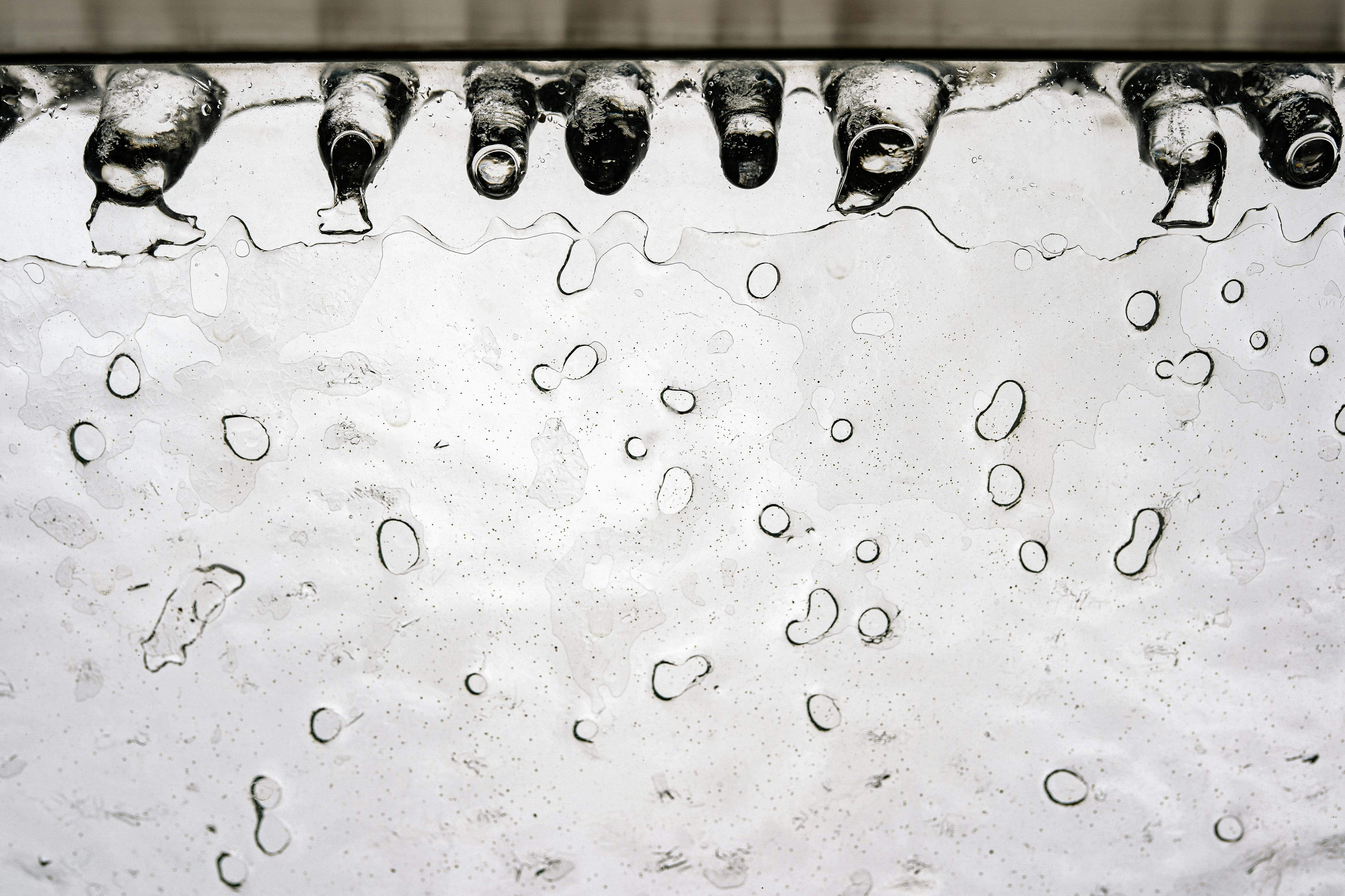 Why Do Dogs Have Wet Noses? Discover the Fascinating Reasons 7 Can Weather Affect Your Dog's Nose? Discover the Surprising Truth About Temperature and Moisture