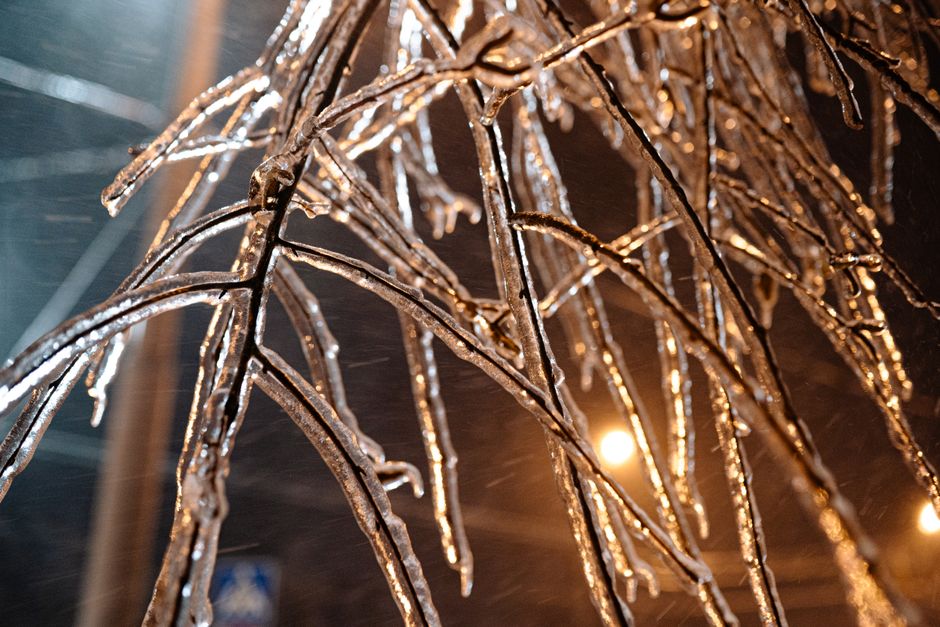 Ottawa Turns to Glass: Photos From the City March 2026 Ice Storm