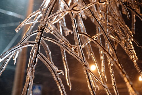 Record-Breaking Cold Freezes the Southeast and All of Florida Tonight