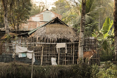 Old house with fence in countryside