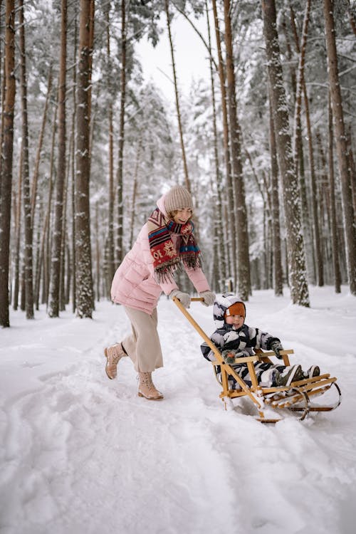 겨울, 놀이, 눈의 무료 스톡 사진