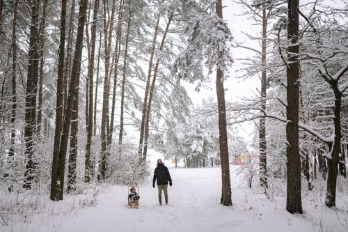 Free Father and child enjoy a snowy walk in a winter forest, pulling a sled. Stock Photo