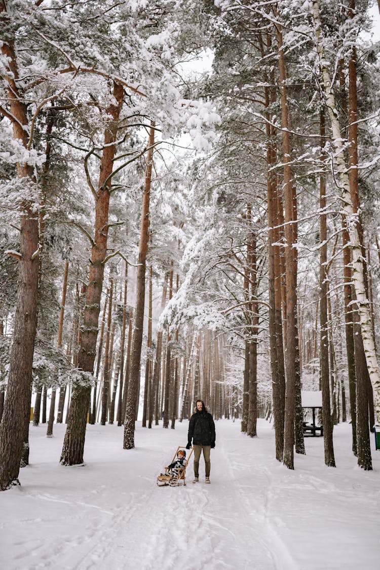 Father With Child On A Sled In Forest In Winter