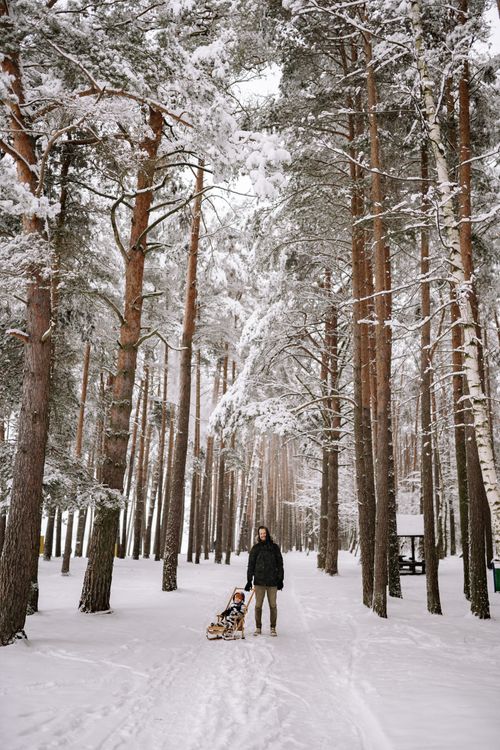Free Father and child enjoy sledding through a snowy forest, embracing the winter season. Stock Photo