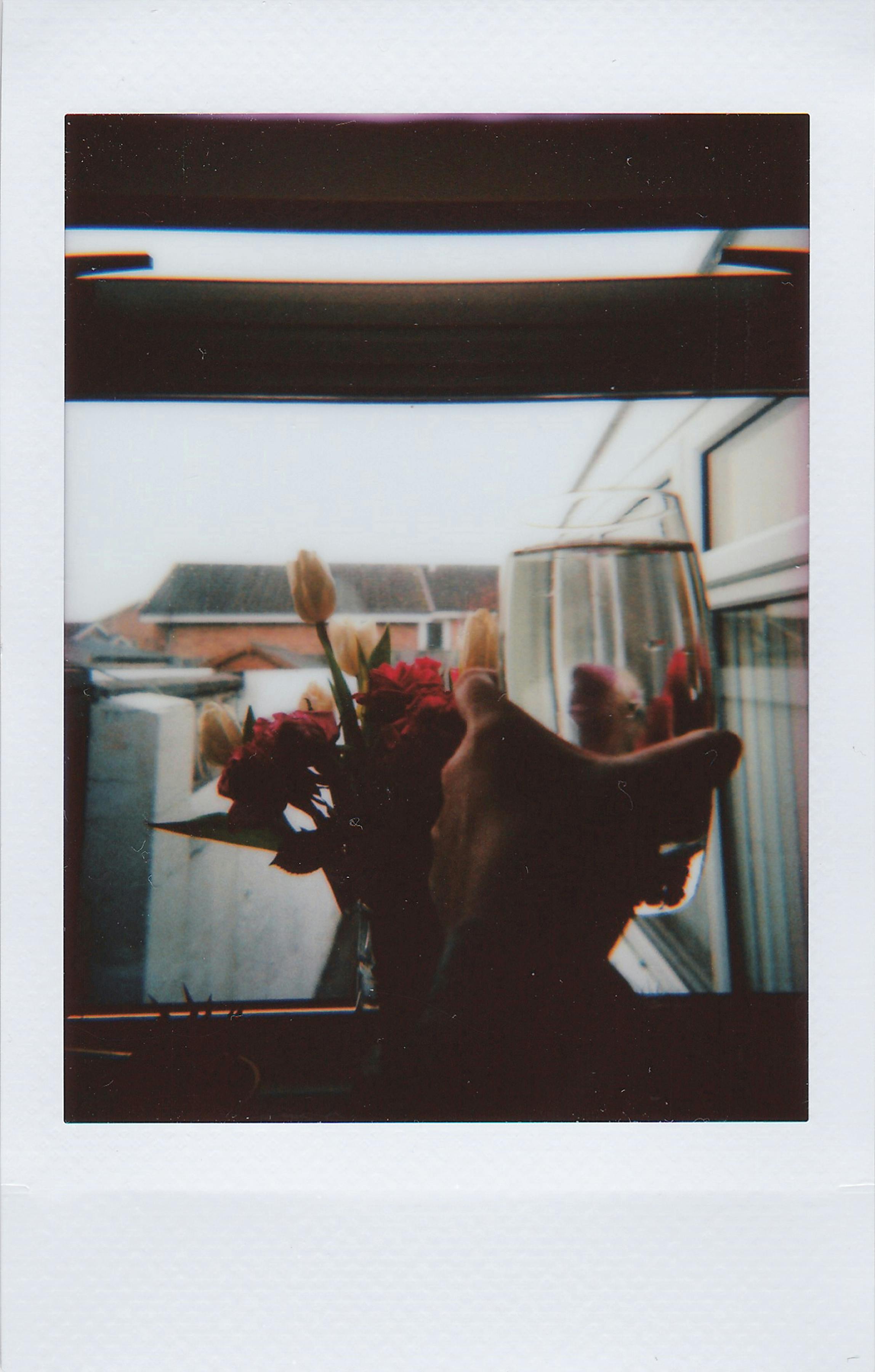Hand holding wine glass beside flowers, creating a cozy indoor atmosphere.