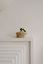 Simple Decoration on a Mantelpiece