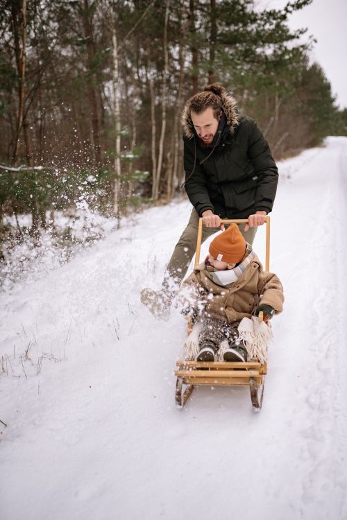 Free Father pushes child on sled in snowy forest, creating joyful winter memory. Stock Photo