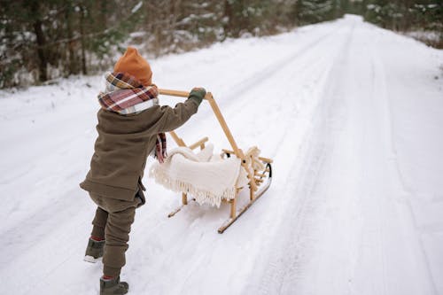 Immagine gratuita di bambino, esterno, foresta