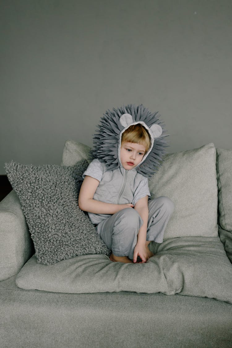 A Kid Wearing A Hedgehog Costume