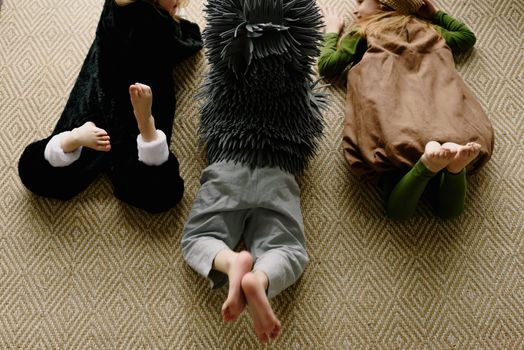hedgehog photo