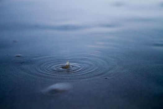 A tranquil scene of a water droplet creating ripples on a calm surface, capturing nature's beauty.