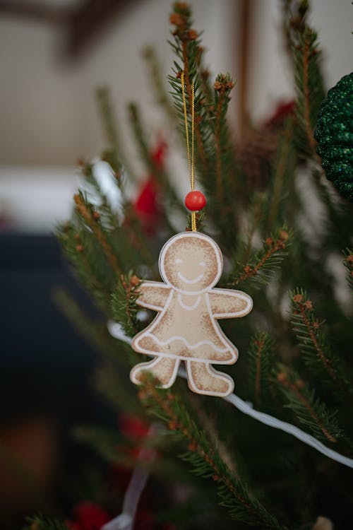 A Christmas Ornament Hanging on Pine Tree Leaves