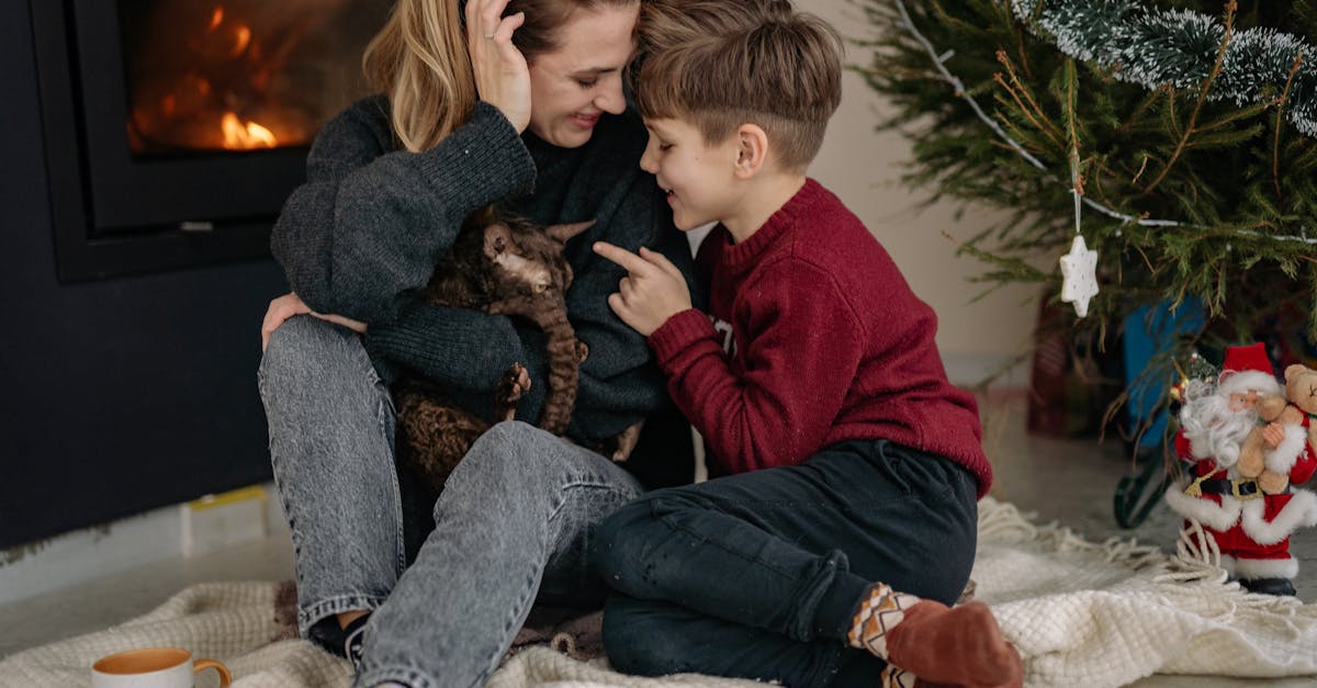 Pourquoi l'adoption d'un animal senior est une bonne idée