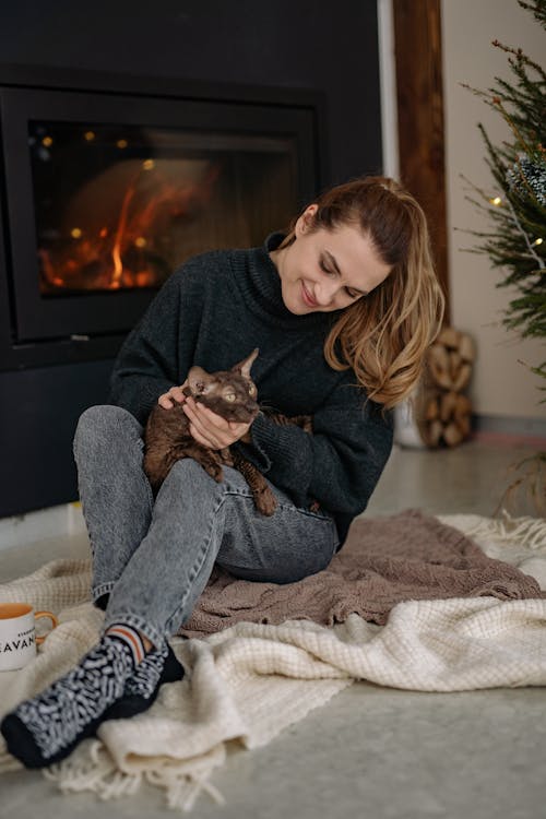 Fotos de stock gratuitas de chimenea, gato, jersei
