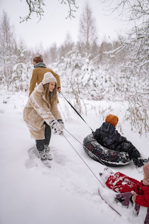 Free Happy family sledding in snowy winter forest, enjoying a joyful outdoor adventure. Stock Photo