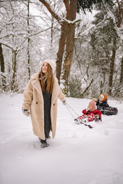 Free A woman pulling two children on a sledge through a snowy forest, enjoying a winter day. Stock Photo