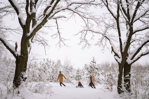 Couple Pulling their Children on Sleds in Winter 