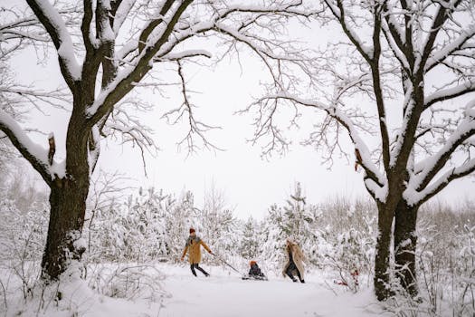 A family sledding through a snowy forest, having fun in the winter wonderland.