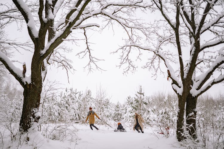Couple Pulling Their Children On Sleds In Winter 