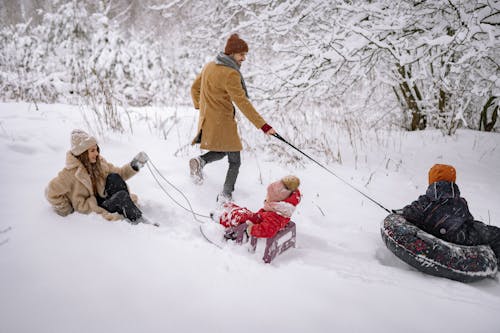 Free A Family Having Fun Playing in the Snow Stock Photo