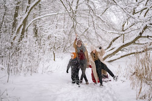 Fotobanka s bezplatnými fotkami na tému chladný, chôdza, deti