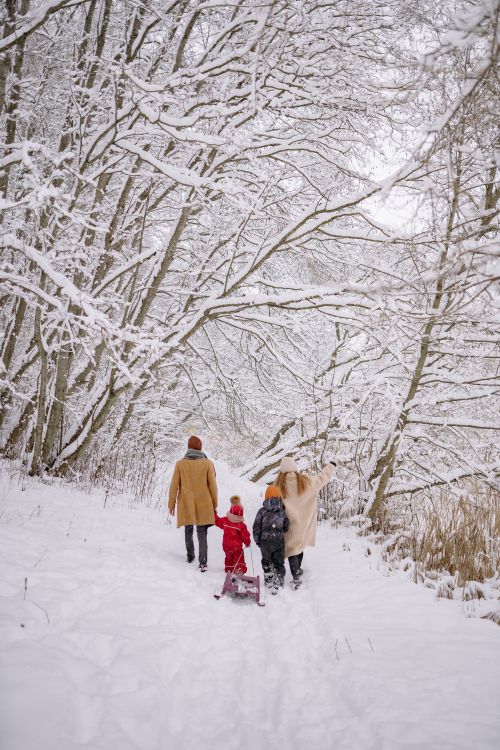 Free A family of three walks through a snow-covered forest, enjoying the winter scenery. Stock Photo