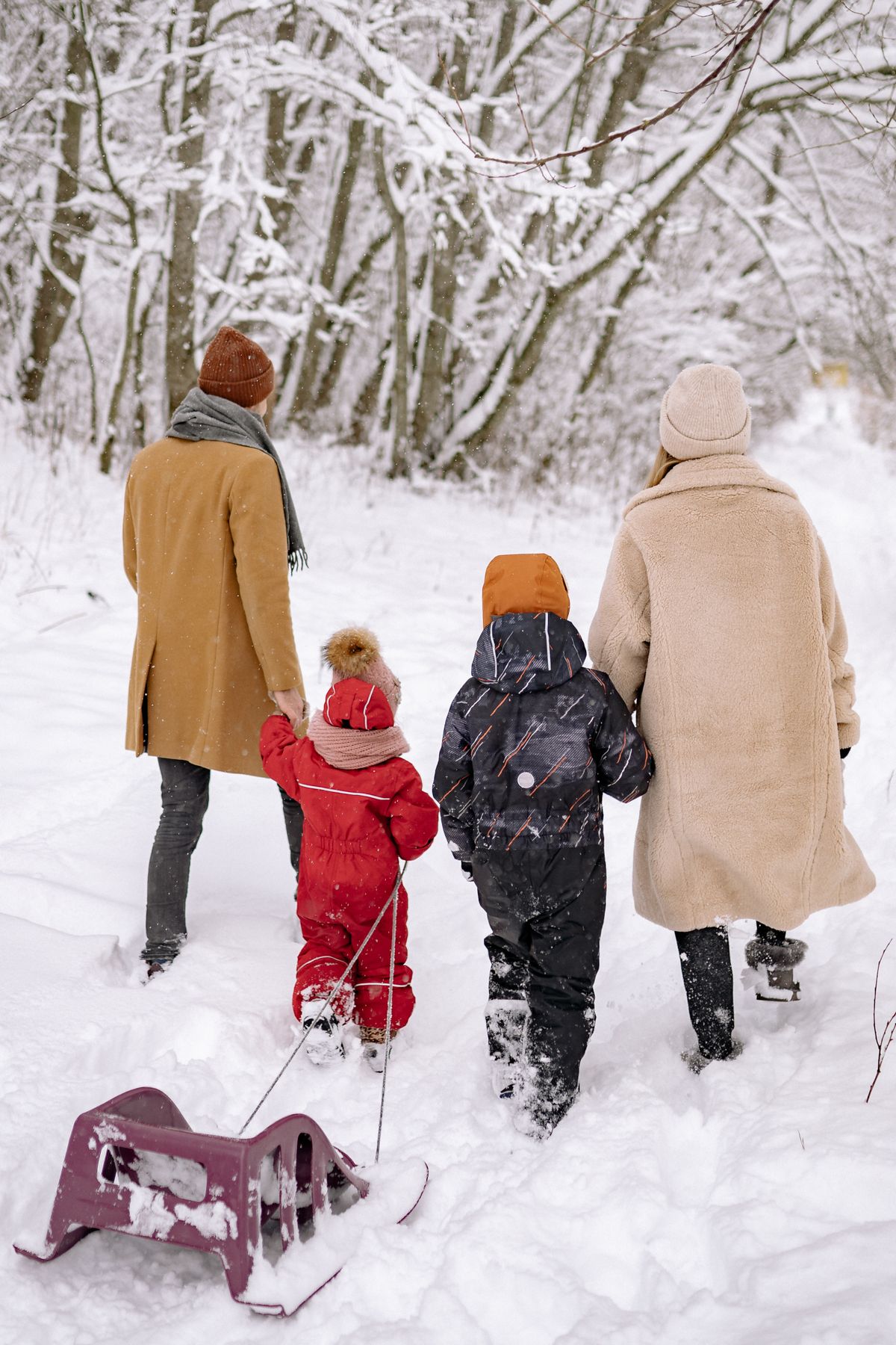 Family walking through snowy forest