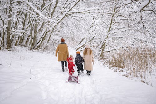 A Family Walking in the Snow Covered Forest 