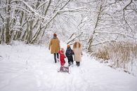 A Family Walking in the Snow Covered Forest