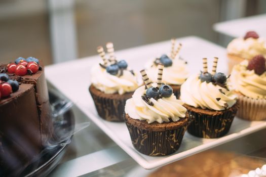 Tempting cupcakes topped with blueberries and chocolate icing on display tray.