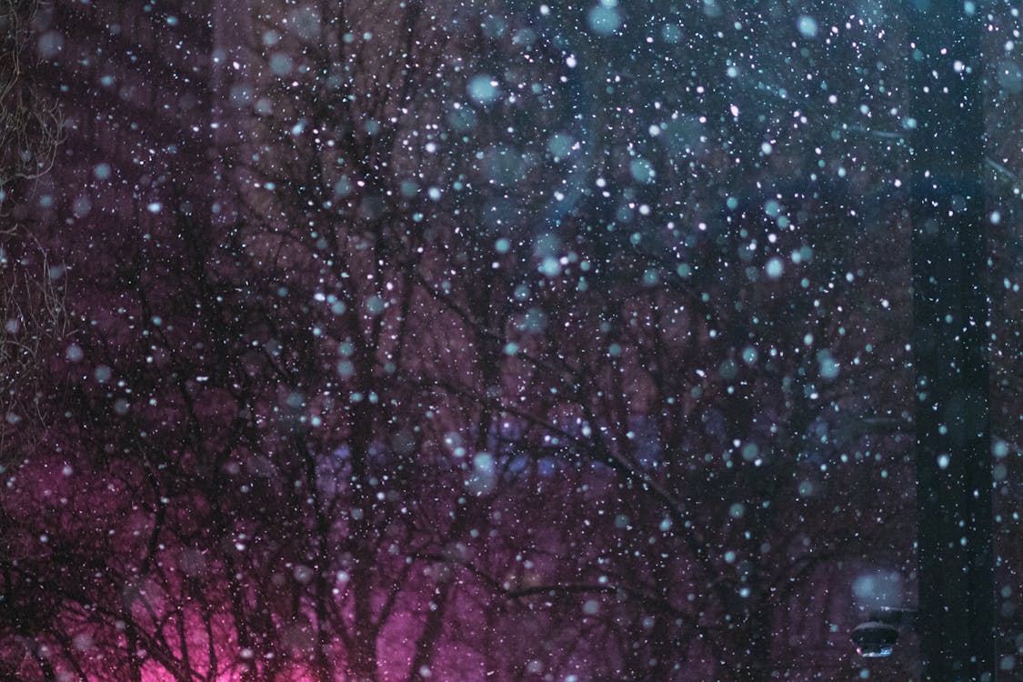 Free stock photo of snow background