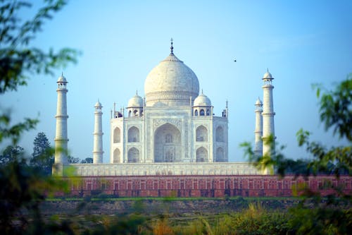 Amazing Taj Mahal through Tree Branches