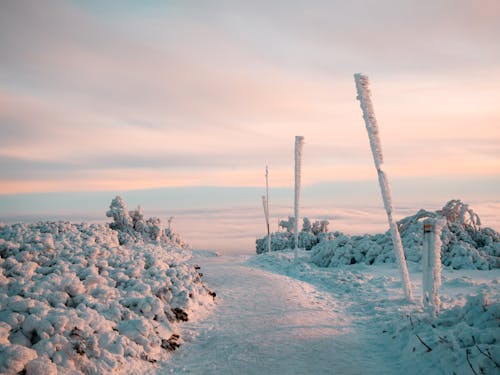 açık hava, akşam, buz içeren Ücretsiz stok fotoğraf