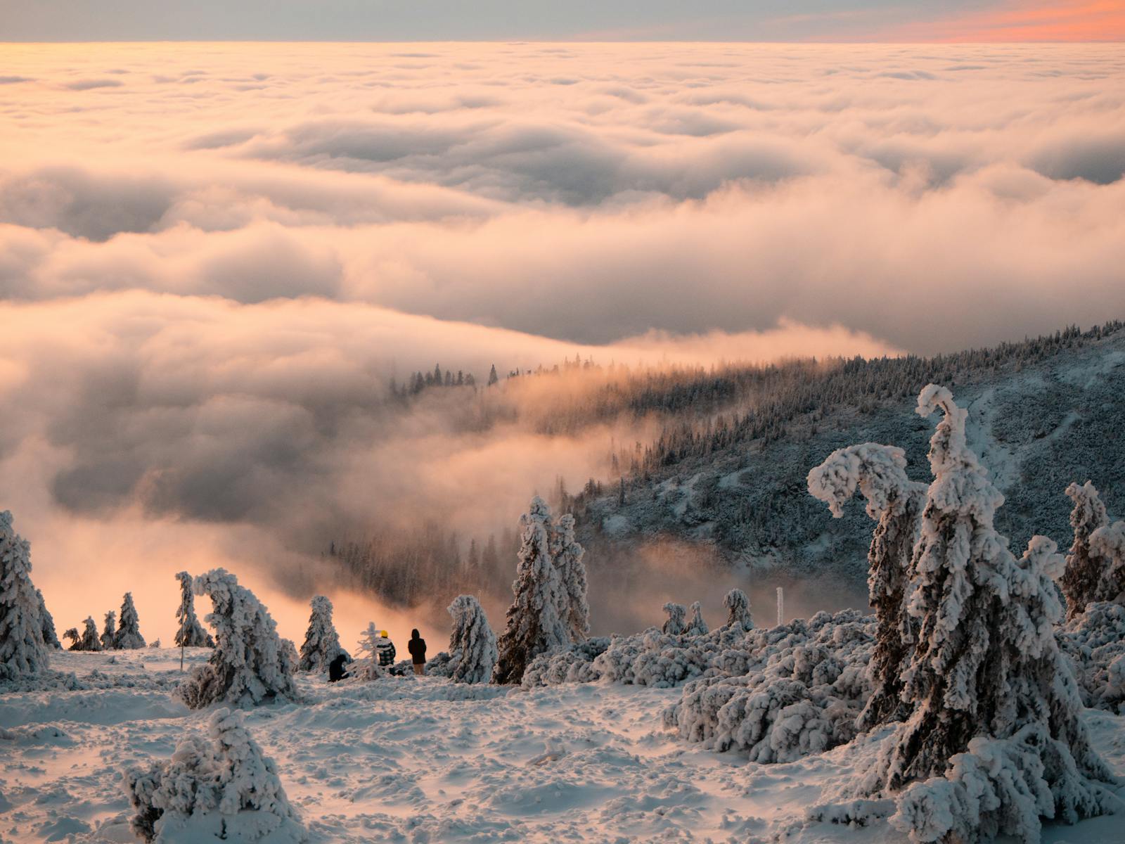 Jizerské hory – dřevěné útulny (ilustrační foto, Pexels)