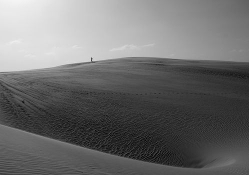 Lencois Maranhenses, Brazil photo 17