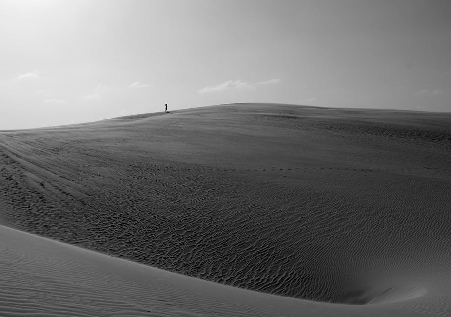 Grayscale Photo of 2 People Walking on Sand · Free Stock Photo
